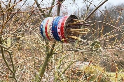 Bastle ein Marienkäferhotel / Susanne Haslacher/WWF